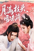 《月满枝头雪未消》封面