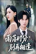 《雨落时分别再相逢》封面