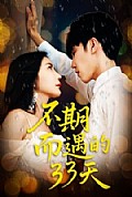 《不期而遇的33天》封面