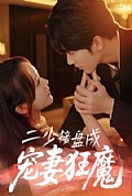 《二少接盘成宠妻狂魔》封面