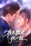 《夜色微光抚心醒》封面