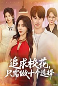 《追求校花只需做十个选择》封面
