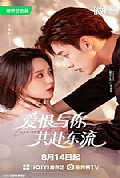 《爱恨与你共赴东流》封面