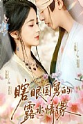 《瞎眼国舅的露水情缘》封面