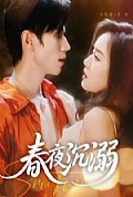 《春夜沉溺》封面