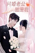 《闪婚老公独宠我》封面