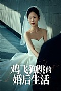 《鸡飞狗跳的婚后生活》封面