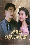 《谢爷的白月光不好惹》封面