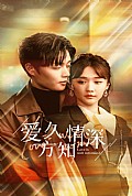 《爱久方知情深》封面