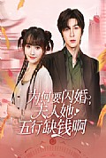 《为何要闪婚夫人她五行缺钱啊》封面