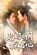 《昭昭明月探君心》封面
