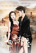 《见面不如相恋》封面