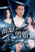 《蓄意毁婚》封面
