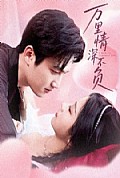 《万里情深不负》封面