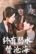 《终有弱水替沧海》封面