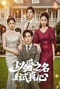 《以爱之名试真心》封面