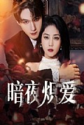 《暗夜炽爱》封面