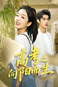 《高考之向阳而生》封面