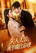 《夫人太装薄爷嘴比命硬》封面