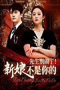 《先生别闹了新娘不是你的》封面