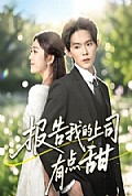 《报告我的上司有点甜》封面