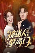 《撩错人攀高门》封面