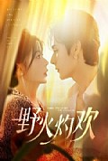 《野火灼欢》封面