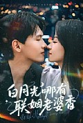 《白月光哪有联姻老婆香》封面