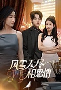 《风雪无尽相思情》封面