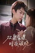 《双枭合谋暗夜破晓》封面