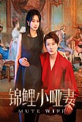 《锦鲤小哑妻》封面