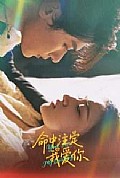 《命中注定我爱你63集》封面