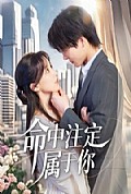 《命中注定属于你》封面