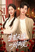 《生若无缘，一别两宽》封面