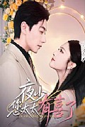 《夜少，您太太有喜了》封面