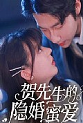 《贺先生的隐婚蜜爱》封面