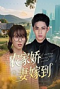 《农家娇妻嫁到》封面