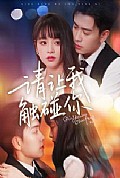 《请让我触碰你》封面