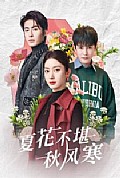 《夏花不堪秋风寒》封面