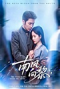 《南风向黎》封面