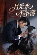 《月光永不坠落》封面