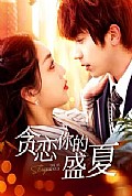 《贪恋你的盛夏》封面