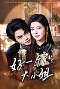 《好一个大小姐》封面