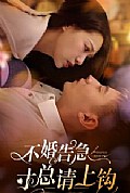 《不婚告急寸总请上钩》封面