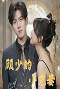 《顾少的小宠妻》封面