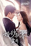 《婚纱飘零爱消弭》封面