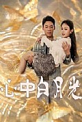 《心中白月光》封面