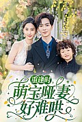 《重逢时萌宝哑妻好难哄》封面