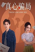 《真心骗局》封面