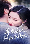 《再见爱人风止于秋水》封面